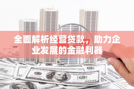 延川全面解析经营贷款，助力企业发展的金融利器