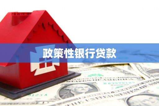延川政策性银行贷款