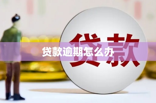 延川贷款逾期怎么办