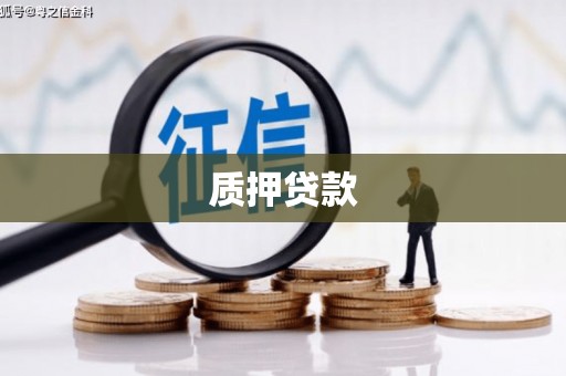 延川质押贷款