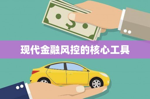 延川现代金融风控的核心工具
