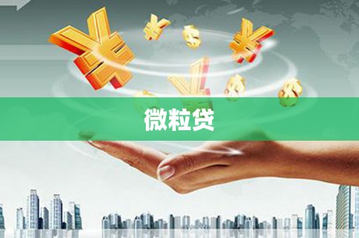 延川微粒贷