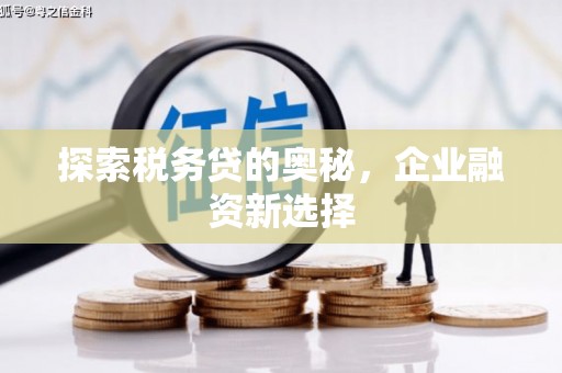 延川探索税务贷的奥秘，企业融资新选择
