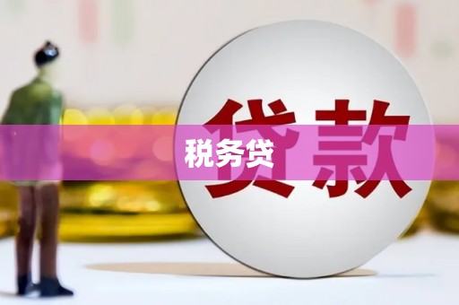 延川税务贷
