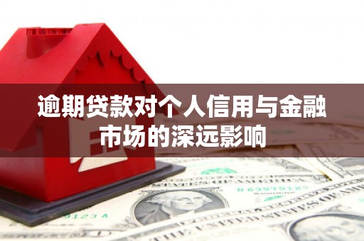 延川逾期贷款对个人信用与金融市场的深远影响