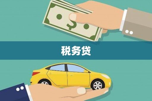 延川税务贷