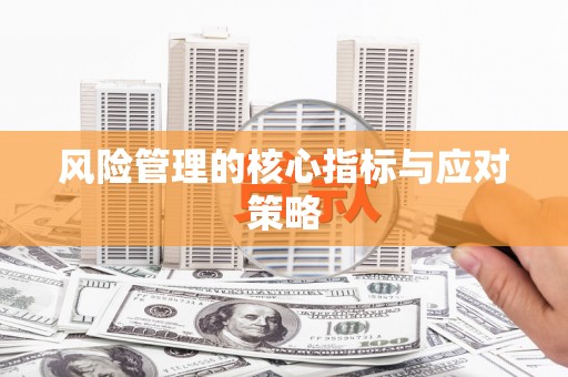 延川风险管理的核心指标与应对策略