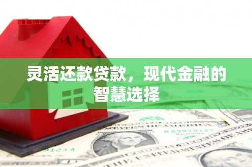 延川灵活还款贷款，现代金融的智慧选择