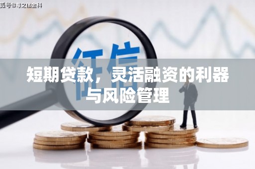 延川短期贷款，灵活融资的利器与风险管理
