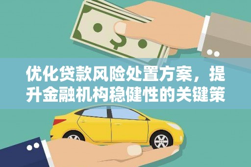 延川优化贷款风险处置方案，提升金融机构稳健性的关键策略