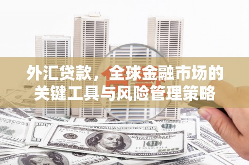 延川外汇贷款，全球金融市场的关键工具与风险管理策略