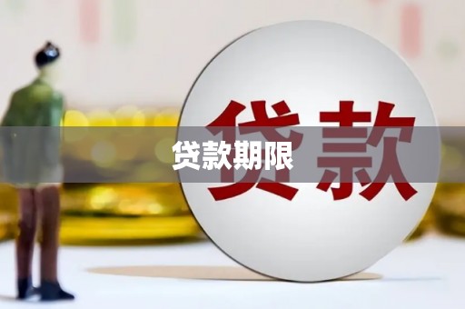 延川贷款期限