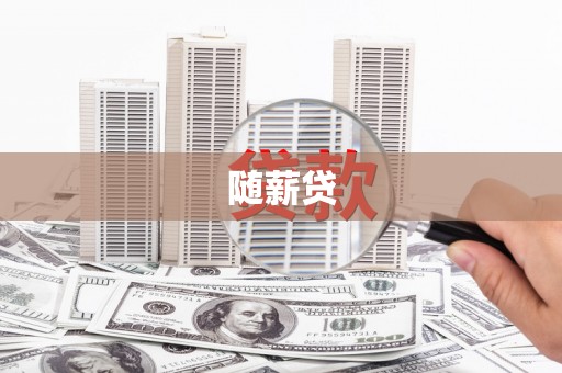 延川随薪贷