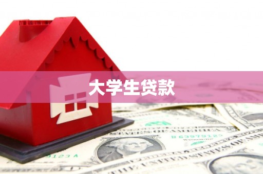 延川大学生贷款