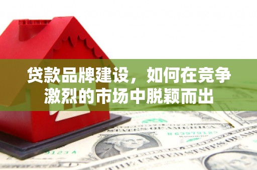 延川贷款品牌建设，如何在竞争激烈的市场中脱颖而出