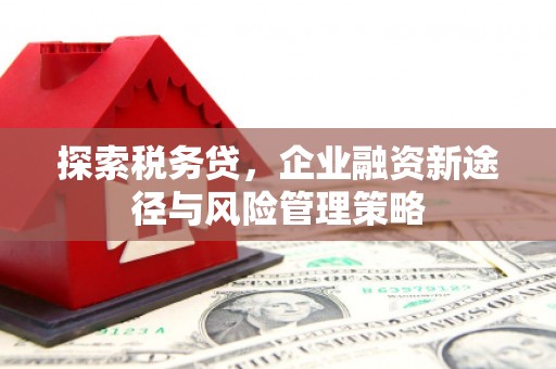 延川探索税务贷，企业融资新途径与风险管理策略