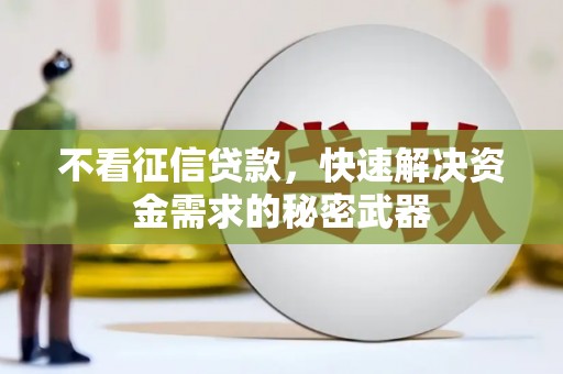 延川不看征信贷款，快速解决资金需求的秘密武器
