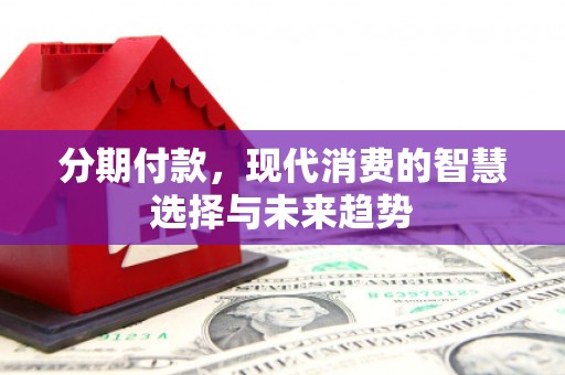 延川分期付款，现代消费的智慧选择与未来趋势