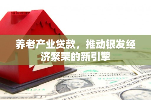 延川养老产业贷款，推动银发经济繁荣的新引擎