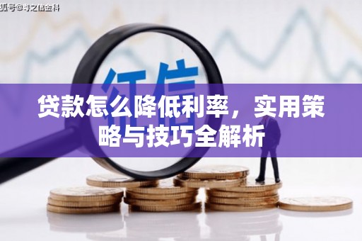 延川贷款怎么降低利率，实用策略与技巧全解析