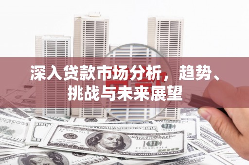 延川深入贷款市场分析，趋势、挑战与未来展望