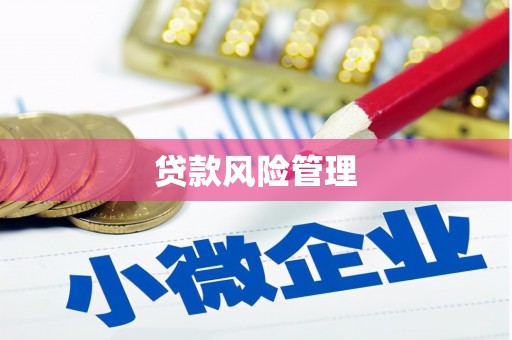 延川贷款风险管理
