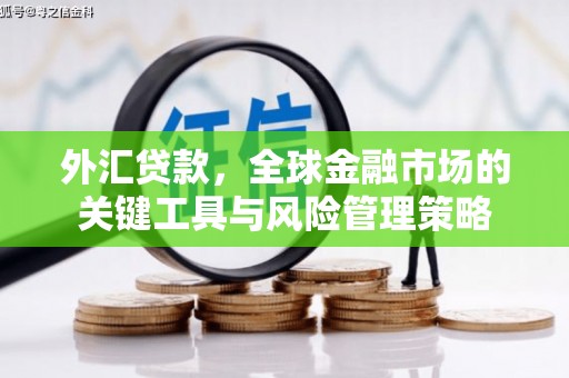 延川外汇贷款，全球金融市场的关键工具与风险管理策略