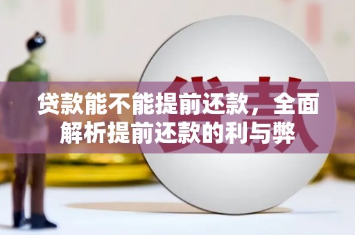 延川贷款能不能提前还款，全面解析提前还款的利与弊