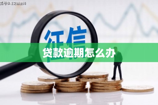 延川贷款逾期怎么办