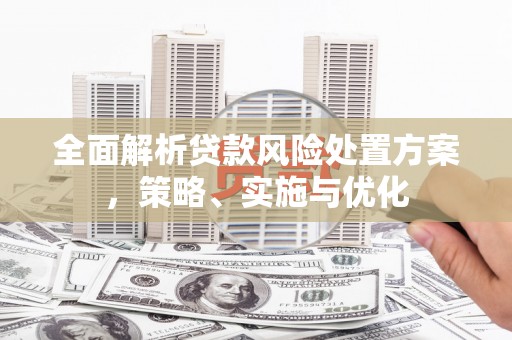 延川全面解析贷款风险处置方案，策略、实施与优化
