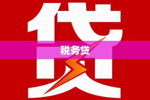 延川税务贷