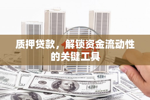 延川质押贷款，解锁资金流动性的关键工具