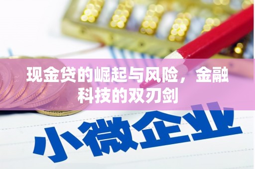 延川现金贷的崛起与风险，金融科技的双刃剑