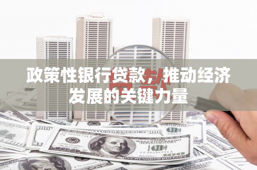 延川政策性银行贷款，推动经济发展的关键力量