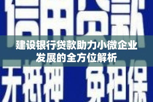 延川建设银行贷款助力小微企业发展的全方位解析