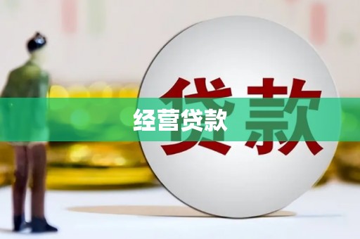 延川经营贷款