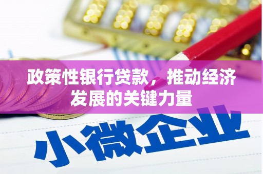 延川政策性银行贷款，推动经济发展的关键力量