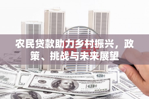 延川农民贷款助力乡村振兴，政策、挑战与未来展望
