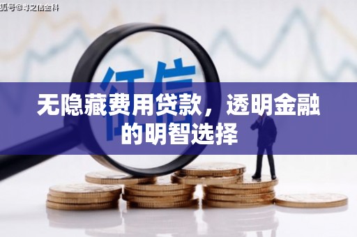延川无隐藏费用贷款，透明金融的明智选择