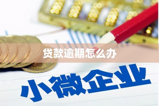 延川贷款逾期怎么办