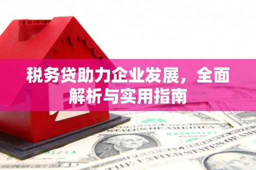 延川税务贷助力企业发展，全面解析与实用指南