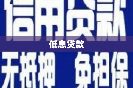 延川低息贷款