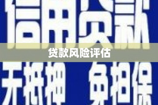 延川贷款风险评估