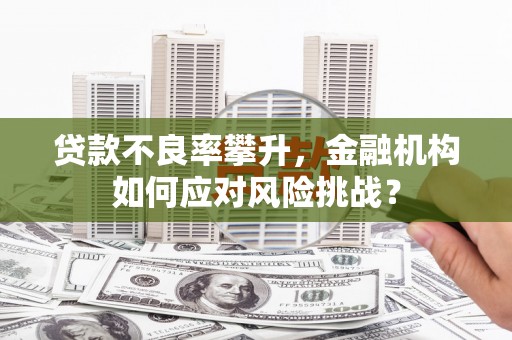 延川贷款不良率攀升，金融机构如何应对风险挑战？