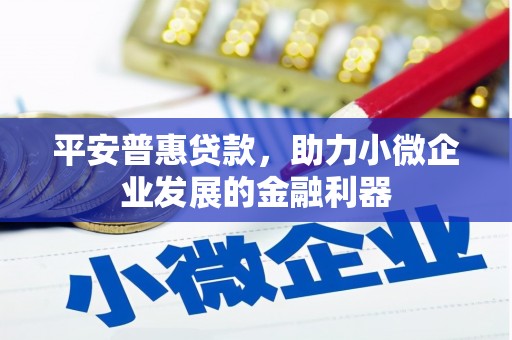延川平安普惠贷款，助力小微企业发展的金融利器