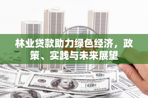 延川林业贷款助力绿色经济，政策、实践与未来展望