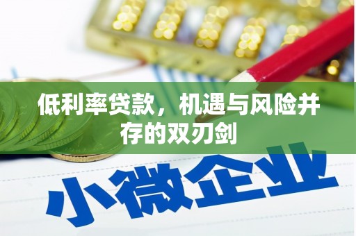 延川低利率贷款，机遇与风险并存的双刃剑