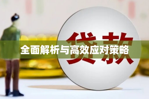 延川全面解析与高效应对策略
